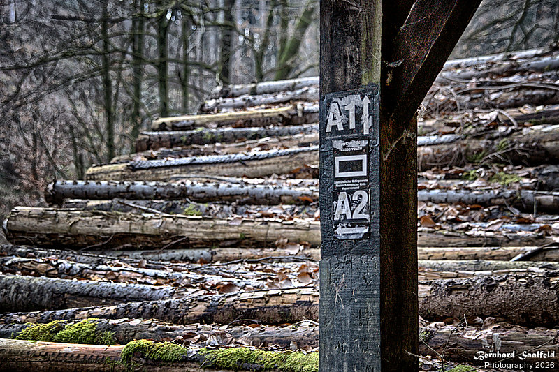 Bernhard Saalfeld - Dhuenn (7v9)